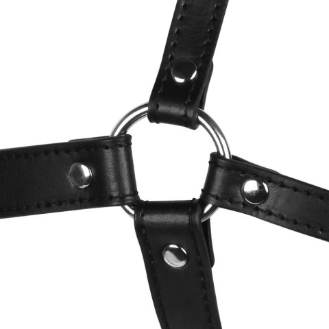 Blindfolded Head Harness with Solid Ball Gag - Black Ouch!