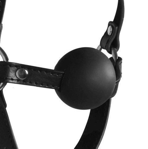 Head Harness with Solid Ball Gag - Black Ouch!