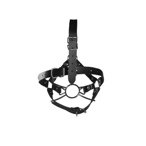 Head Harness with Spider Gag and Nose Hooks - Black Ouch!