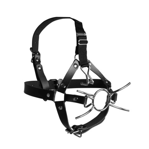 Head Harness with Spider Gag and Nose Hooks - Black Ouch!