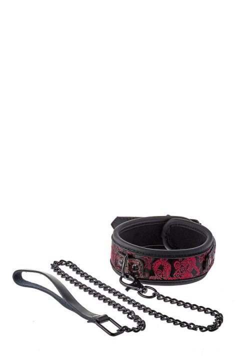 BLAZE DELUXE COLLAR & LEASH Dream Toys