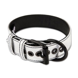 Bondage Fetish Metallic Pup Collar With Leash Lovetoy