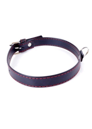 Fetish B - Series Collar 2cm Red Line Fetish B - Series