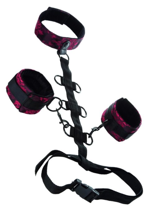 Scandal Collar Body Restraint Black Calexotics