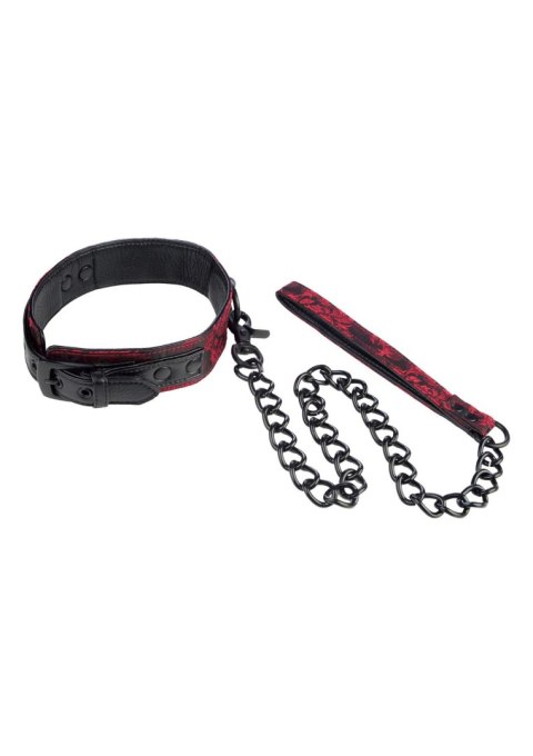 Scandal Collar with Leash Black Calexotics