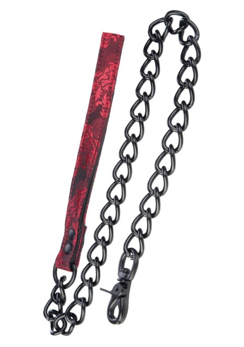 Scandal Leash Black Calexotics