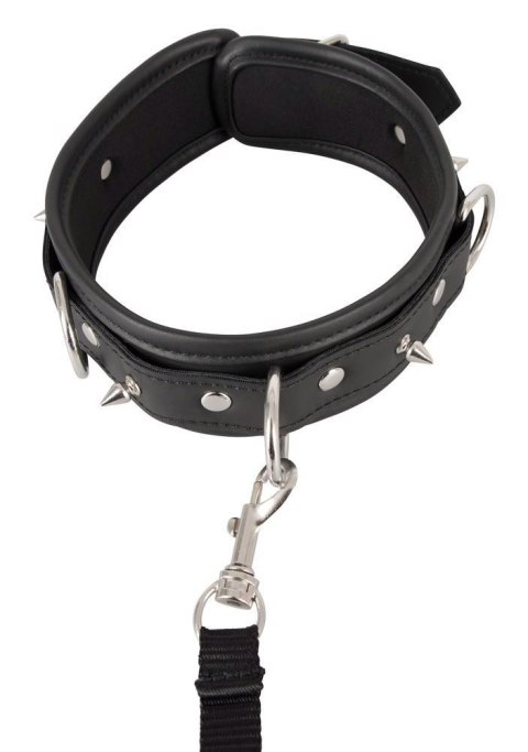 Collar vegan Vegan Fetish