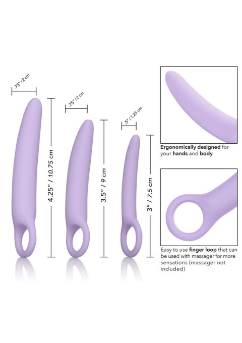 Alena Set of 3 Dilators Purple Calexotics