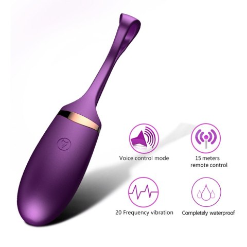 Jajko/wibr-Vibrating Silicone Love EGG USB 10 Function / Voice Control B - Series Fox