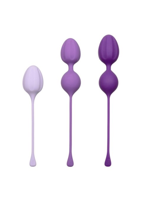 Kegel Training 3 Pcs Purple Calexotics