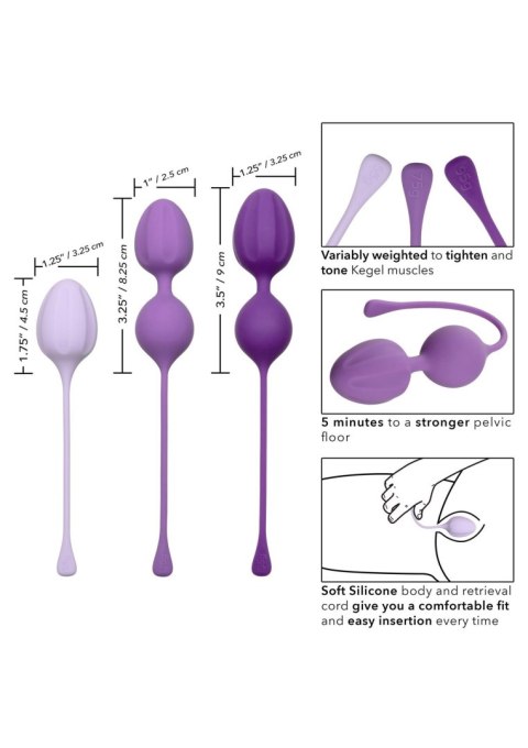 Kegel Training 3 Pcs Purple Calexotics