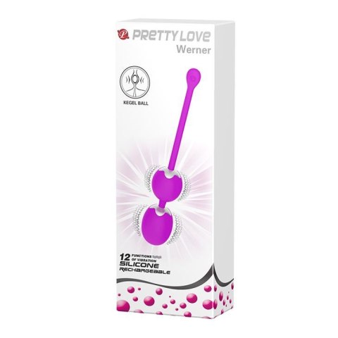 PRETTY LOVE - WERNER USB 12 function Pretty Love